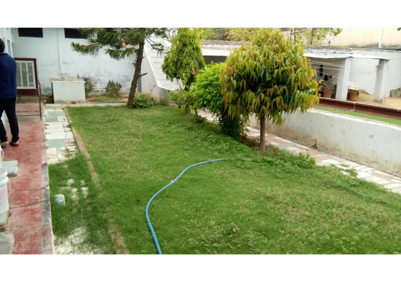 Shri Shyam Krishna Guest House Pushkar Exteriör bild